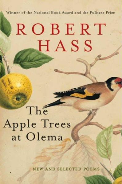 Produktbild: The Apple Trees at Olema