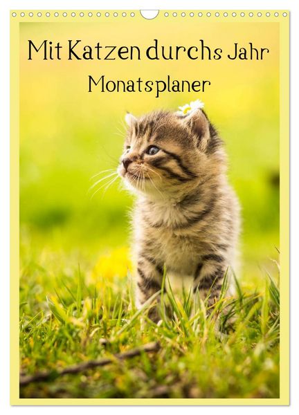 Produktbild: Mit Katzen durchs Jahr / Planer (Wandkalender 2026 DIN A3 hoch), CALVENDO Monatskalender