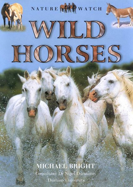 Produktbild: Wild Horses