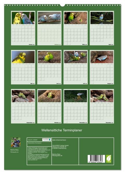 Produktbild: Wellensittiche Terminplaner (hochwertiger Premium Wandkalender 2026 DIN A2 hoch), Kunstdruck in Hochglanz