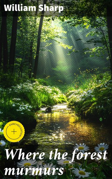 Produktbild: Where the forest murmurs