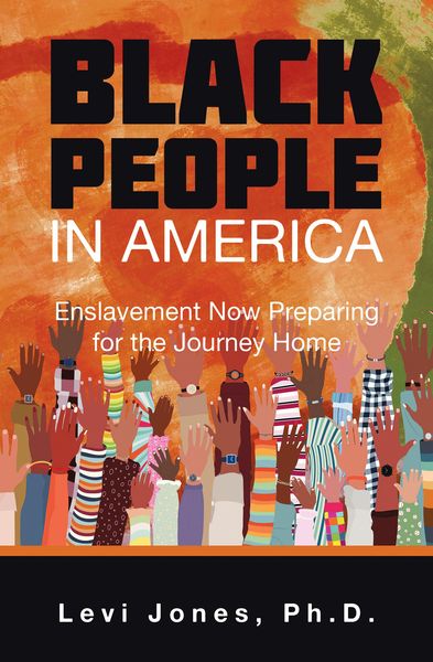 Produktbild: Black People in America