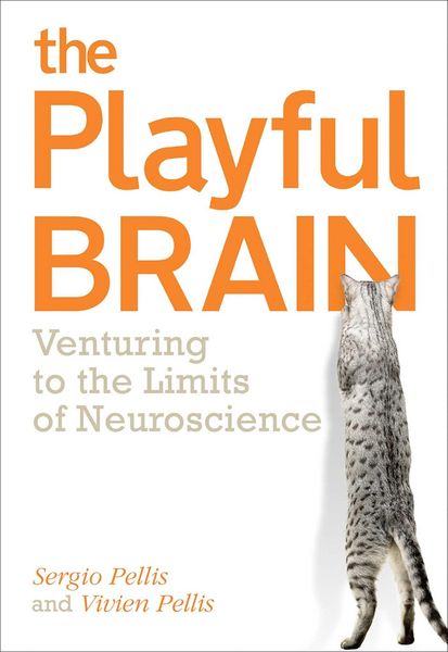 Produktbild: The Playful Brain