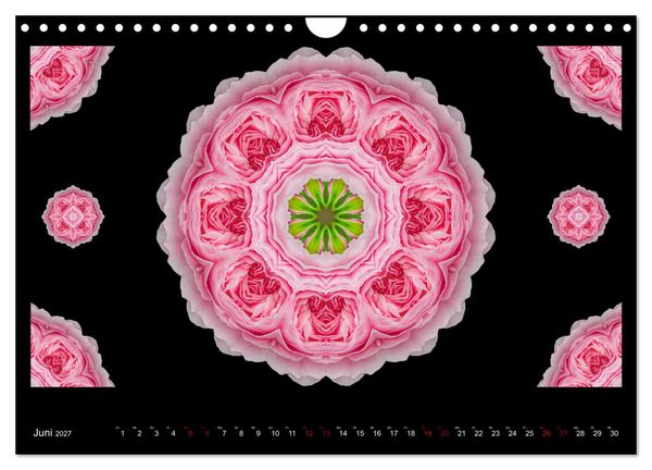 Produktbild: ROSEN MANDALAS (Wandkalender 2027 DIN A4 quer), CALVENDO Monatskalender