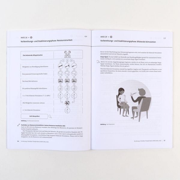 Produktbild: Therapie-Basics EMDR