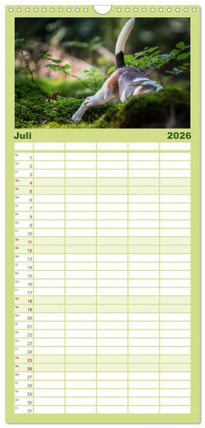 Produktbild: Familienplaner 2026 - Beaglebabys auf Entdeckungstour mit 5 Spalten (Wandkalender, 21 x 45 cm) CALVENDO