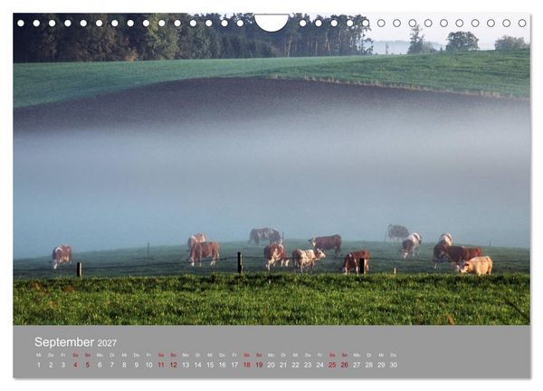 Produktbild: Hallertau (Wandkalender 2027 DIN A4 quer), CALVENDO Monatskalender