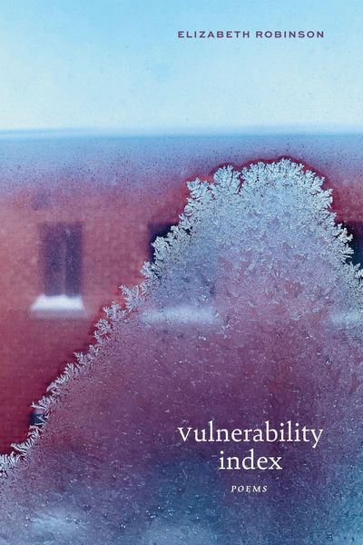 Produktbild: Vulnerability Index