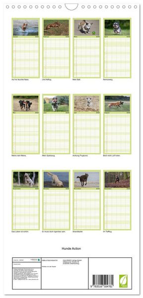 Produktbild: Familienplaner 2026 - Hunde Action mit 5 Spalten (Wandkalender, 21 x 45 cm) CALVENDO