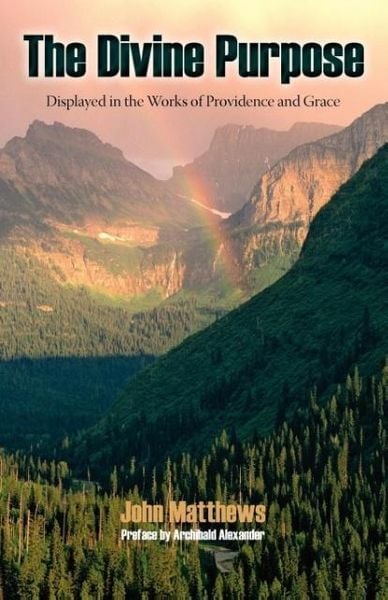 Produktbild: The Divine Purpose Displayed in Providence and Grace