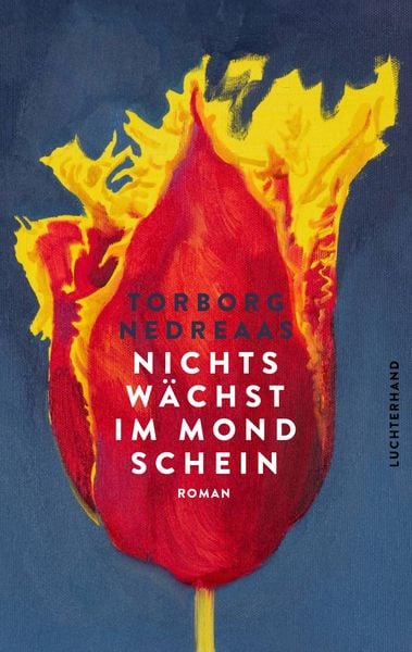 Produktbild: Nichts w&auml;chst im Mondschein