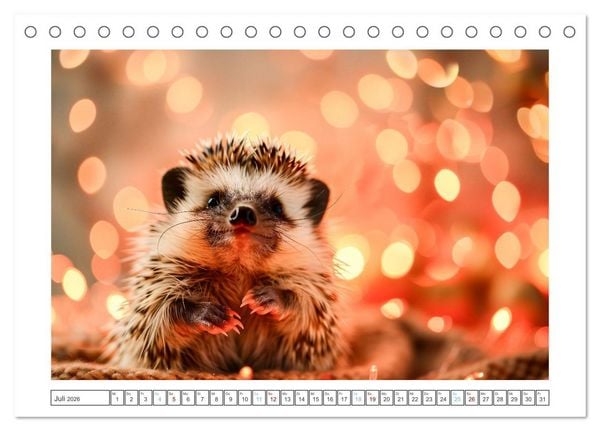 Produktbild: Lustige Igel (Tischkalender 2026 DIN A5 quer), CALVENDO Monatskalender