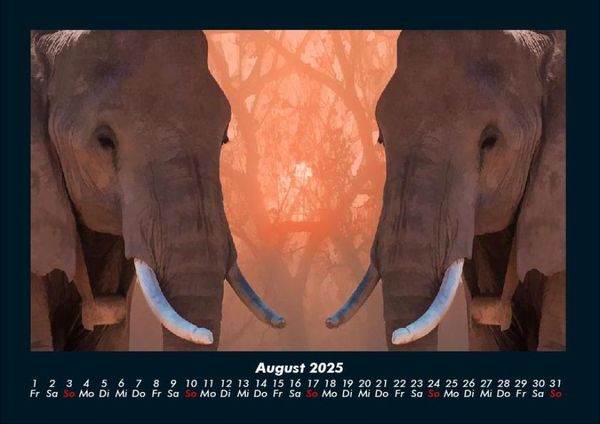 Produktbild: Elefanten - Die sanften Riesen Afrikas 2025 Fotokalender DIN A4