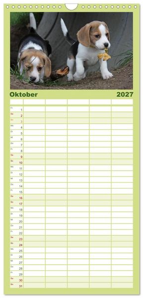 Produktbild: Familienplaner 2027 - DER BEAGLEige TERMINPLANER mit 5 Spalten (Wandkalender, 21 x 45 cm) CALVENDO