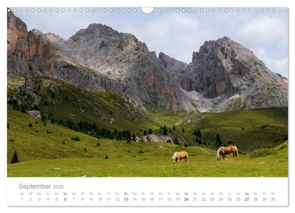 Produktbild: Pferde - In nat&uuml;rlicher Umgebung (Wandkalender 2026 DIN A3 quer), CALVENDO Monatskalender