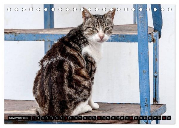 Produktbild: Griechische Katzen (Tischkalender 2026 DIN A5 quer), CALVENDO Monatskalender