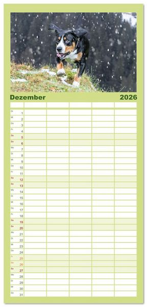 Produktbild: Familienplaner 2026 - Entlebucher - Temperamentvolle Schweizer Sennenhunde mit 5 Spalten (Wandkalender, 21 x 45 cm) CALVENDO