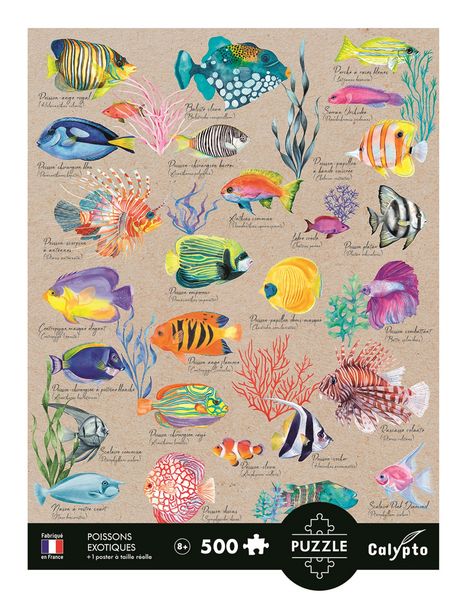 Produktbild: CALYPTO - Exotische Fische 500 Teile