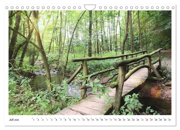 Produktbild: Mein Sehnsuchtsort, der heimische Wald (Wandkalender 2026 DIN A4 quer), CALVENDO Monatskalender