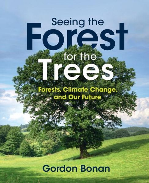 Produktbild: Seeing the Forest for the Trees