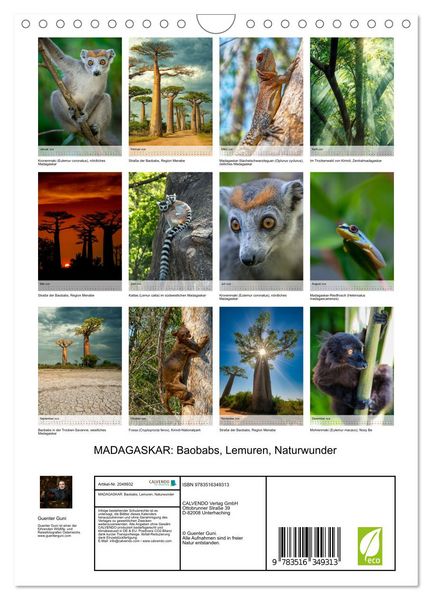 Produktbild: MADAGASKAR: Baobabs, Lemuren, Naturwunder (Wandkalender 2026 DIN A4 hoch), CALVENDO Monatskalender