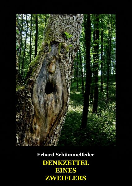 Produktbild: Denkzettel eines Zweiflers