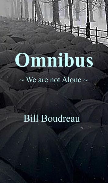 Produktbild: Omnibus