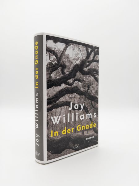 Produktbild: In der Gnade