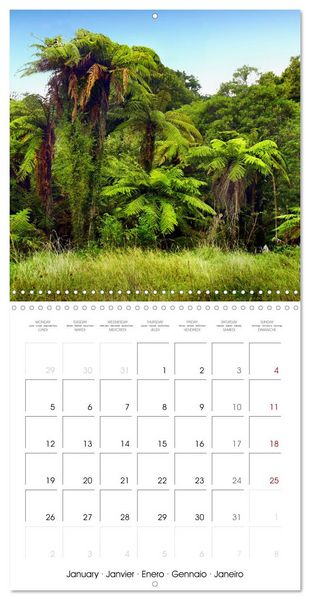 Produktbild: New Zealand Best places to travel (Wall Calendar 2026 12 &times; 12 Inch) CALVENDO 12 Month Wall Calendar