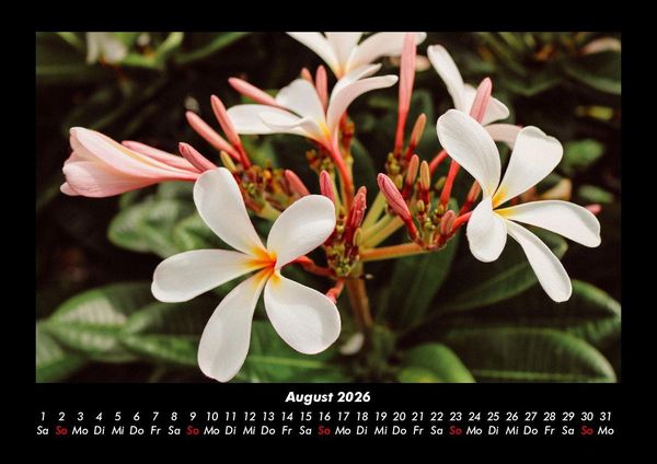 Produktbild: Natur 2026 Fotokalender DIN A3