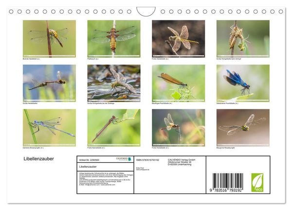 Produktbild: Libellenzauber (Wandkalender 2027 DIN A4 quer), CALVENDO Monatskalender
