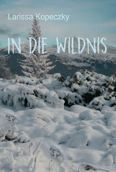 Produktbild: In die Wildnis