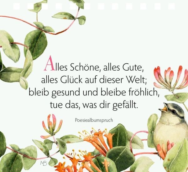 Produktbild: Momente voller Lebensfreude