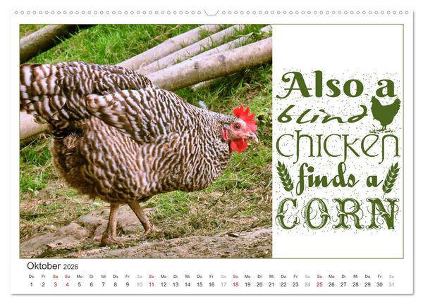 Produktbild: Tierisch Denglisch (Wandkalender 2026 DIN A2 quer), CALVENDO Monatskalender