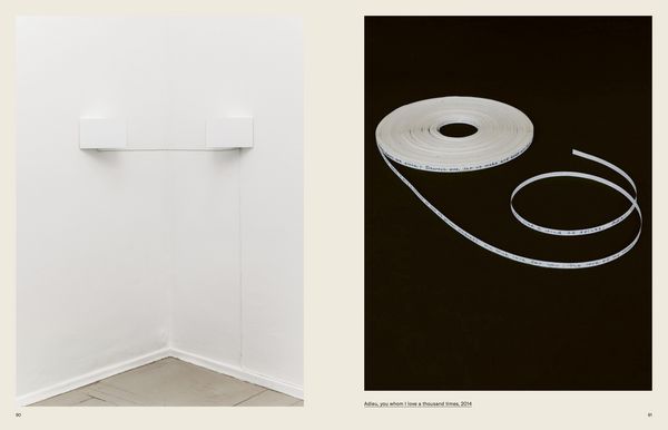 Produktbild: Possibilities of Repair