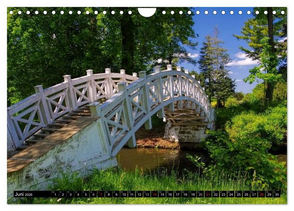 Produktbild: Spaziergang durch den W&ouml;rlitzer Park (Wandkalender 2026 DIN A4 quer), CALVENDO Monatskalender