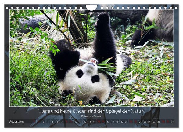 Produktbild: Facettenreiches Tibet (Wandkalender 2026 DIN A4 quer), CALVENDO Monatskalender