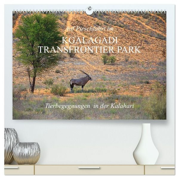 Auf Pirschfahrt im Kgalagadi Transfrontier Park (hochwertiger Premium Wandkalender 2026 DIN A2 quer), Kunstdruck in Hochglanz