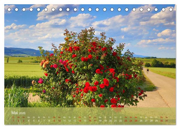 Produktbild: Wanderparadies S&uuml;dpfalz (Tischkalender 2026 DIN A5 quer), CALVENDO Monatskalender