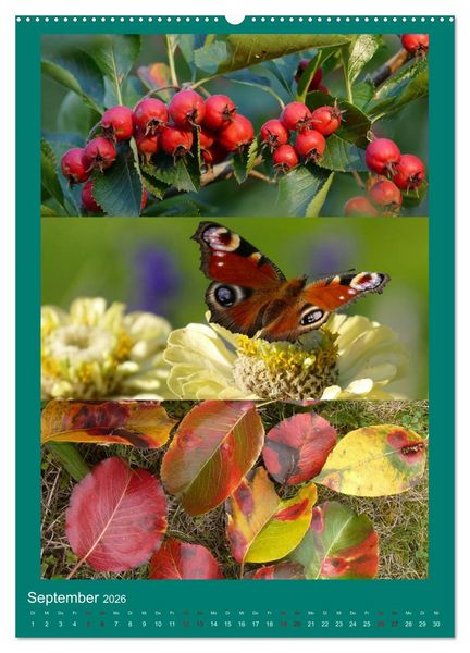 Produktbild: Mein Gartenjahr - Mit der Kamera unterwegs in G&auml;rten und Parkanlagen (hochwertiger Premium Wandkalender 2026 DIN A2 hoch), Kunstdruck in Hochglanz