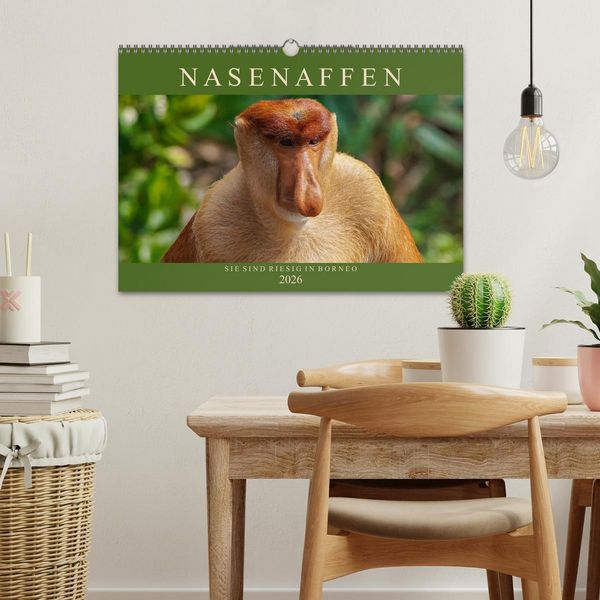 Produktbild: Nasenaffen von Borneo (Wandkalender 2026 DIN A3 quer), CALVENDO Monatskalender