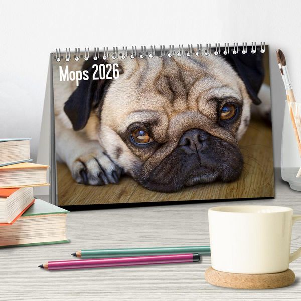 Produktbild: Mops 2026 (Tischkalender 2026 DIN A5 quer), CALVENDO Monatskalender