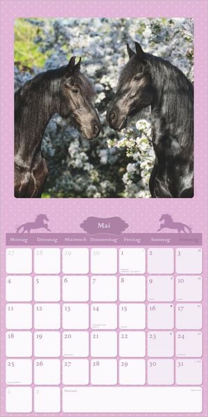 Produktbild: Mein Pferdekalender 2027