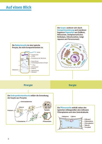 Produktbild: Klett Sicher im Abi Biologie