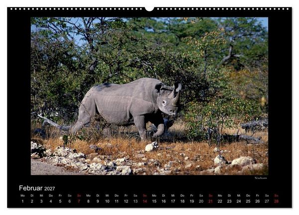 Produktbild: Wildtiere im Etosha Nationalpark (Wandkalender 2027 DIN A2 quer), CALVENDO Monatskalender