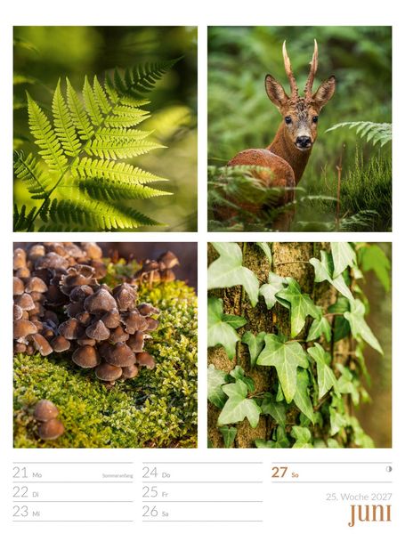 Produktbild: Farben der Natur Wochenplaner Kalender 2027