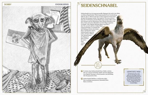 Produktbild: Aus den Filmen zu Harry Potter: Zeichenschule - Zeichne die Zauberwelt Schritt f&uuml;r Schritt
