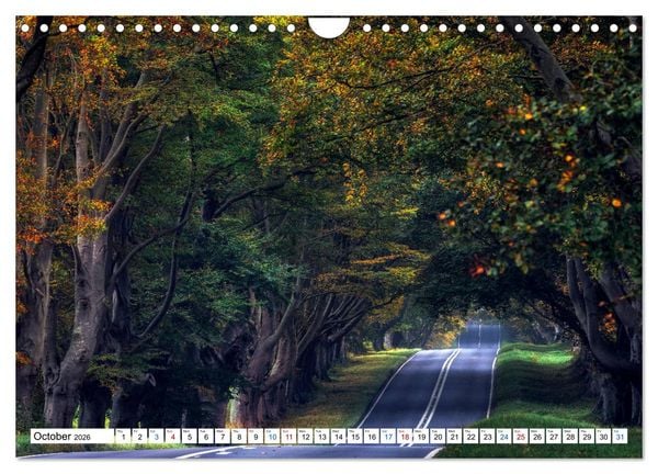 Produktbild: Dorset (Wall Calendar 2026 DIN A4 landscape), CALVENDO 12 Month Wall Calendar