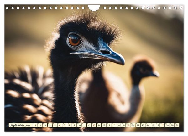 Produktbild: Australiens faszinierende Fauna (Wandkalender 2026 DIN A4 quer), CALVENDO Monatskalender