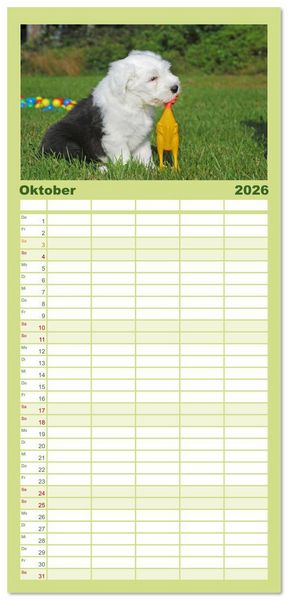 Produktbild: Familienplaner 2026 - In der Kinderstube bei Familie Bobtail mit 5 Spalten (Wandkalender, 21 x 45 cm) CALVENDO